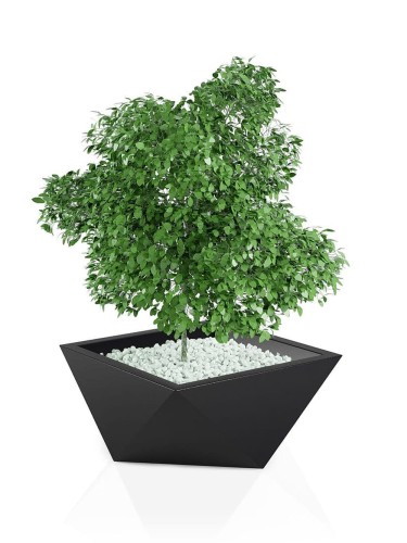 543