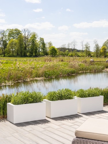 545