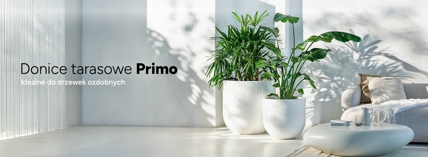 Baner górny